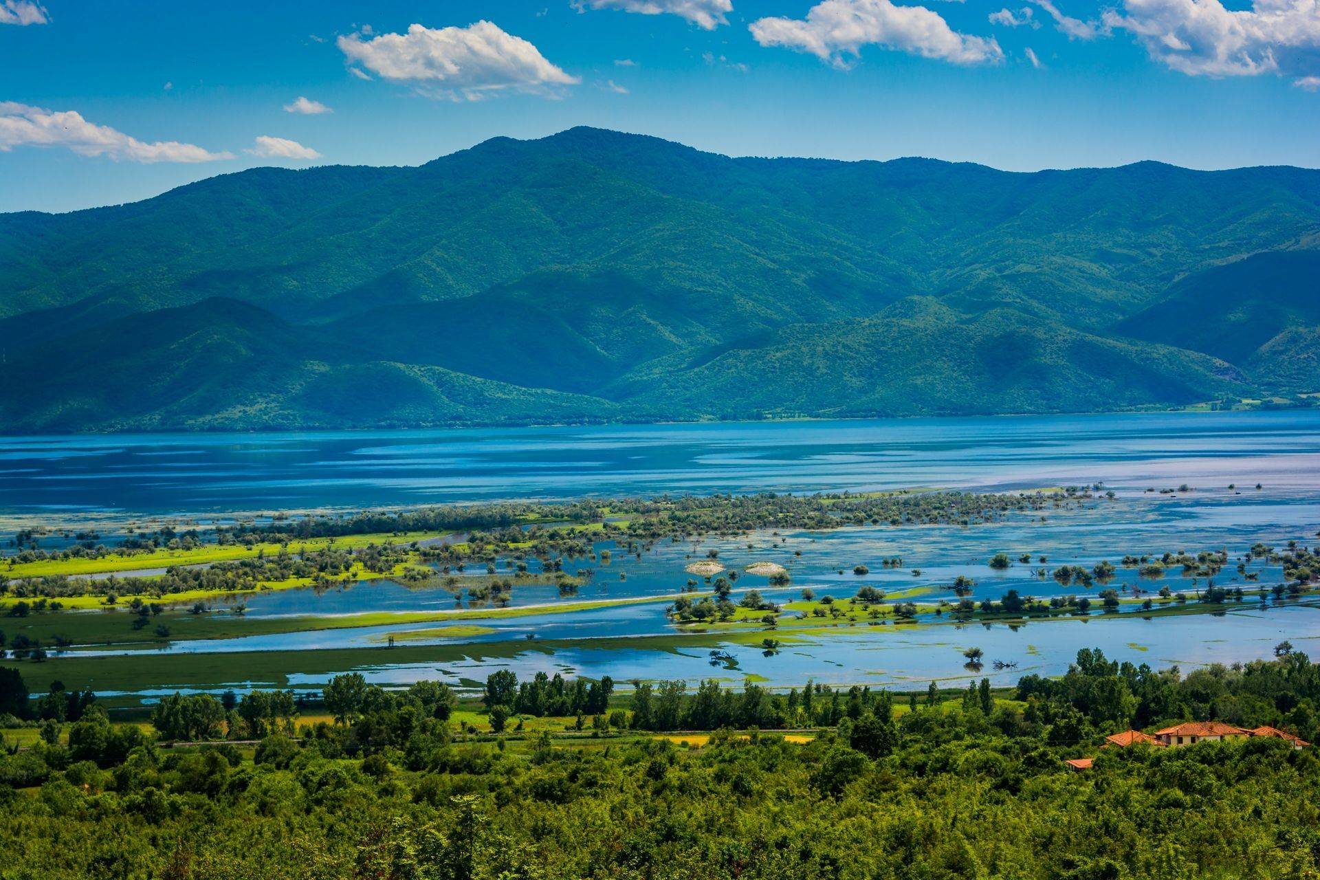 Lake Kerkini – Central Macedonia